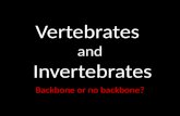 Vertebrates  and  Invertebrates