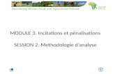 MODULE 3.  Incitations  et  pénalisations SESSION 2.  Methodologie d’analyse