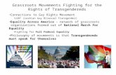 Grassroots Movements Fighting for the Rights of  Transgendereds