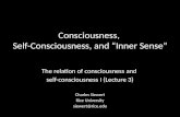 Consciousness, Self -Consciousness, and “Inner Sense”