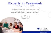 Experts in Teamwork Spring semester 2013 Experience-based course in