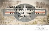 Enabling  Communities of Practice: Critical Success Factors