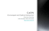 CaON (Converged and Optical Networks)