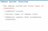 Immune System: Overview