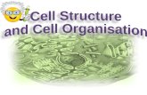 Cell Structure  and Cell Organisation