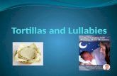 Tortillas and Lullabies