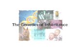 The Genetics of Inheritance