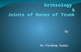 Arthrology & Joints of Bones of Trunk