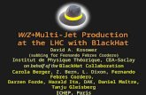 W/ Z +Multi -Jet Production  at  the LHC with  BlackHat