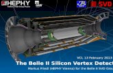 The Belle II Silicon Vertex  Detector
