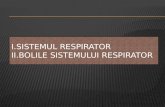 I.Sistemul  respirator II.Bolile Sistemului  Respirator