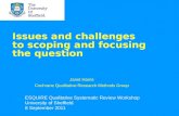 Issues and challenges  to scoping and focusing  the question