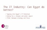 The IT Industry: Can Egypt do better?