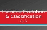 Hominid Evolution & Classification