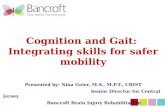 Cognition  and Gait:  Integrating  skills for safer mobility