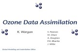 Ozone Data Assimilation