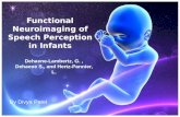 Functional  Neuroimaging  of Speech Perception in Infants