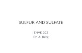 SULFUR AND SULFATE