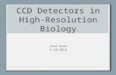 CCD Detectors in High-Resolution Biology