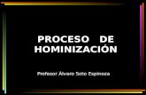 PROCESO   DE HOMINIZACIÓN
