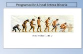 Programación Lineal  Entera Binaria