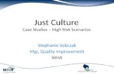 Just Culture Case Studies â€“ High  Risk Scenarios