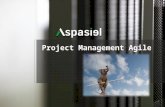 Project Management Agile