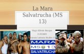 La Mara Salvatrucha  (MS 13)