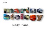Body Plans