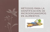 Métodos para la identificación de microorganismos en alimentos