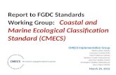 CMECS Implementation Group Rebecca Allee (NOAA) Giancarlo Cicchetti (EPA) Mark Finkbeiner (NOAA)