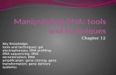 Manipulating DNA: tools and techniques