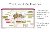 The Liver & Gallbladder