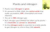 Plants and nitrogen