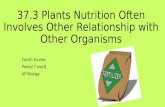 37.3 Plants Nutrition Often Involves Other Relationship with Other Organisms