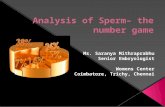 Analysis of  Sperm–  the number game