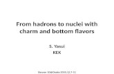 From hadrons  to  nuclei with charm  and  bottom flavors