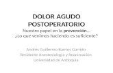 Andrés Guillermo Barrios Garrido Residente Anestesiología y Reanimación Universidad de Antioquia