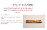 Inuit in the Arctic