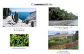 Island Biogeograhy and Community Diversity