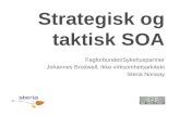 Strategisk og taktisk SOA