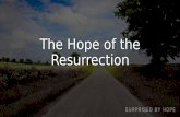 The Hope of the Resurrection