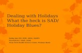 Dealing with Holidays What the  h eck is SAD/ Holiday Blues?