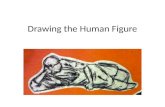 Drawing the Human Figure