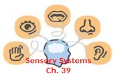Sensory Systems Ch. 39