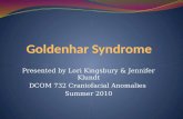 Goldenhar  Syndrome