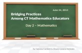 Bridging Practices  Among  CT Mathematics  Educators