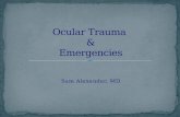 Ocular Trauma  & Emergencies