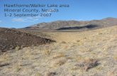 Hawthorne/Walker Lake area Mineral County, Nevada 1–2 September 2007