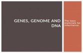 Genes, Genome and DNA